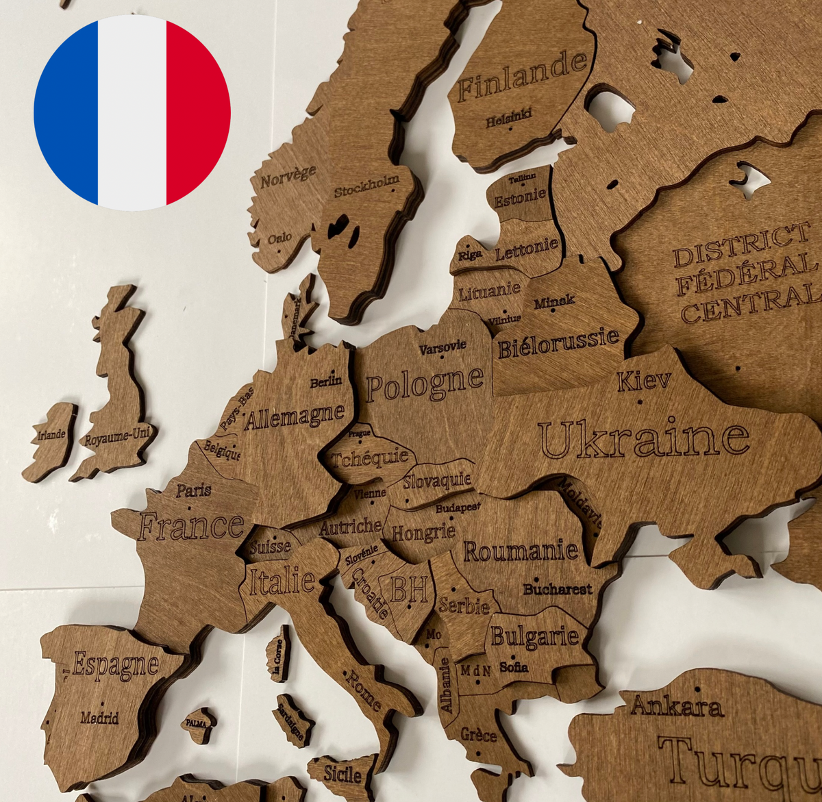 FRENCH LANGUAGE